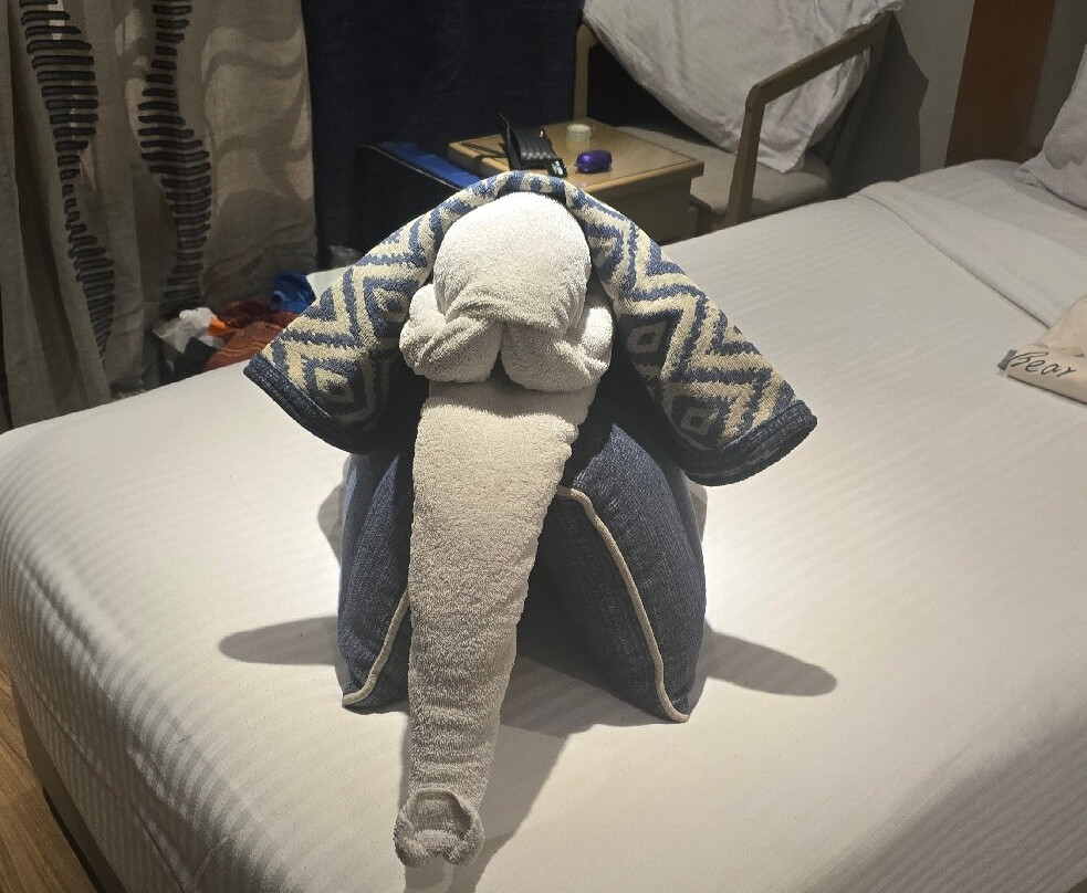 SUNRISE M/S Semiramis III主图