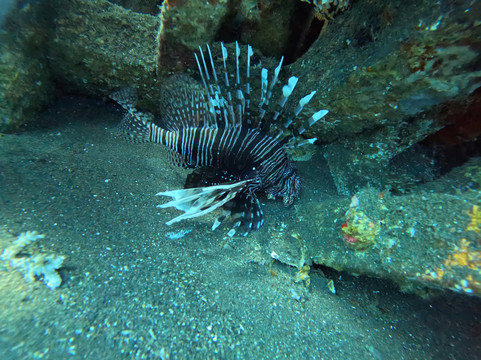 Amed Dive Explorer-艾湄湾必去景点