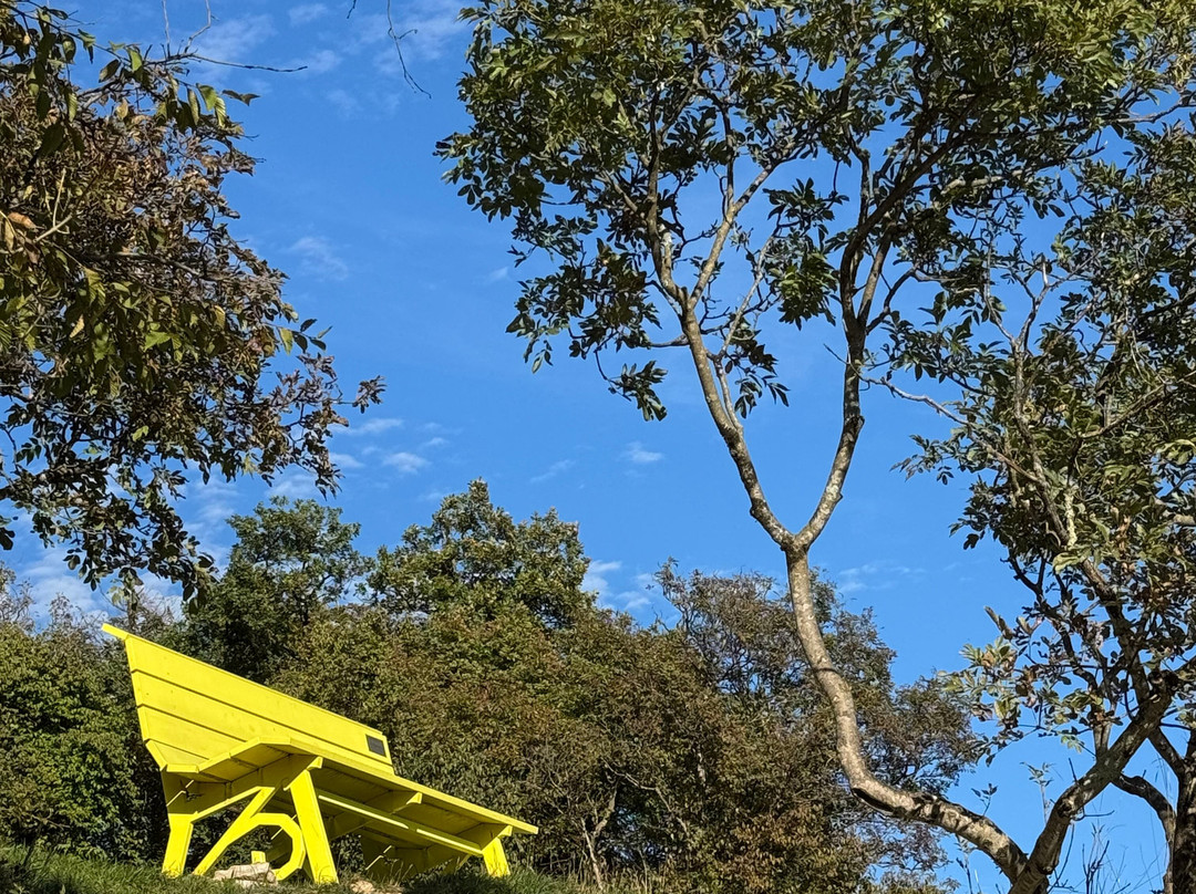 Big Bench Revine Lago N. 181 - Panchina Gigante-Revine Lago必去景点