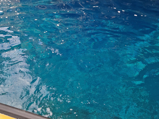 Up Mountain Madeira-沙尔必去景点