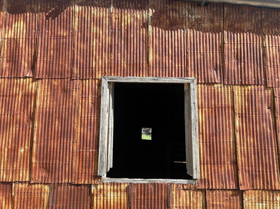Kerosine Tin Shearing Shed-Woomelang必去景点