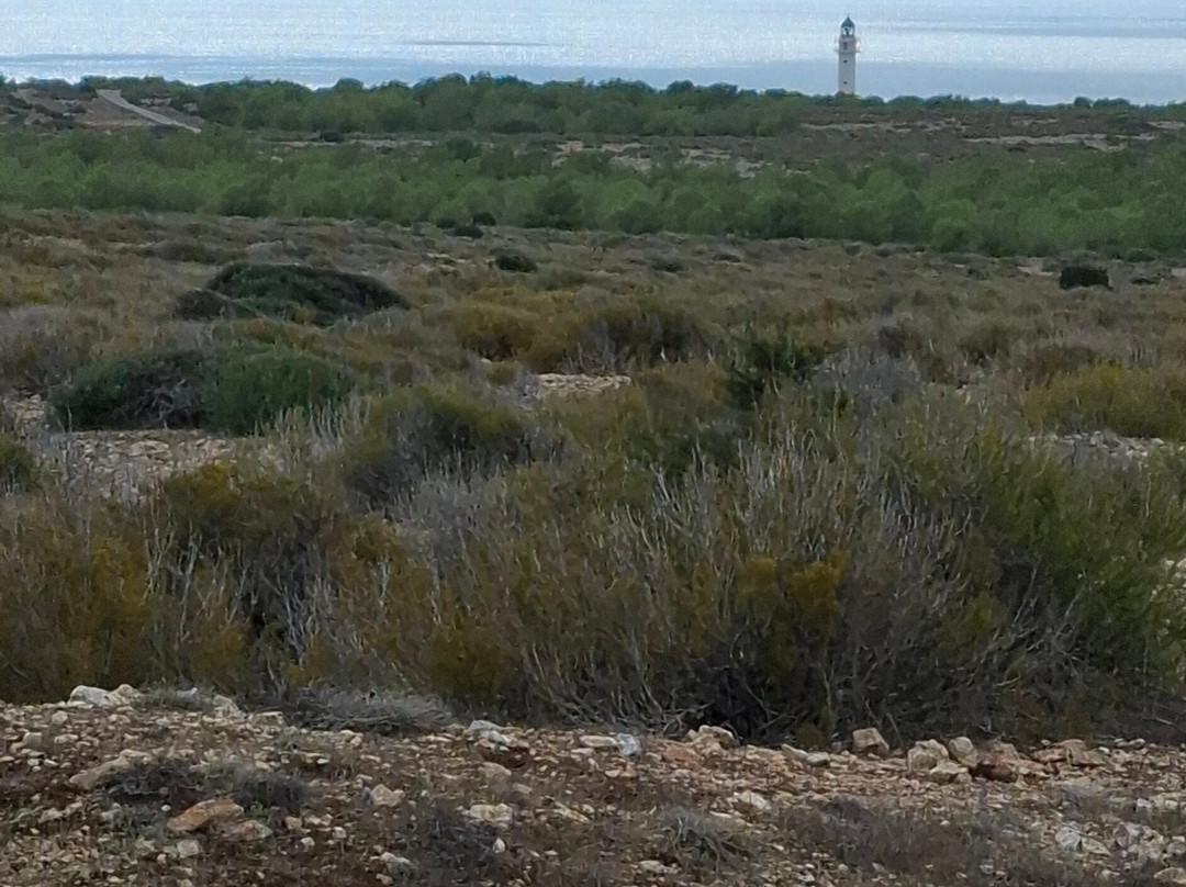 National Park Cap de Barbaria-Es Cap de Barbaria必去景点