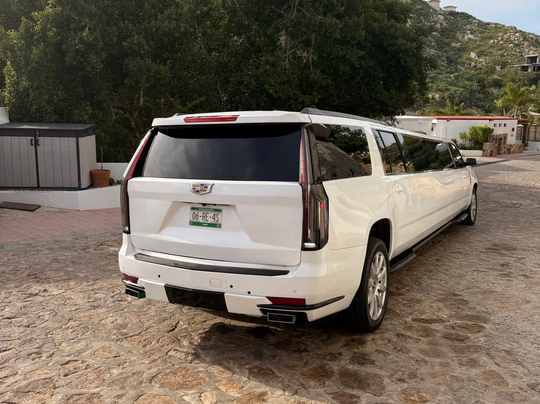 Brown's Private Services Transportation-卡波圣卢卡斯必去景点