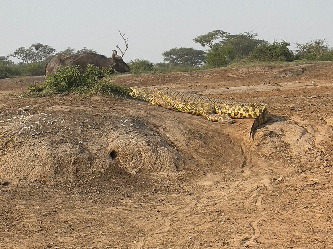 Queen Elizabeth National Park-Kasese必去景点