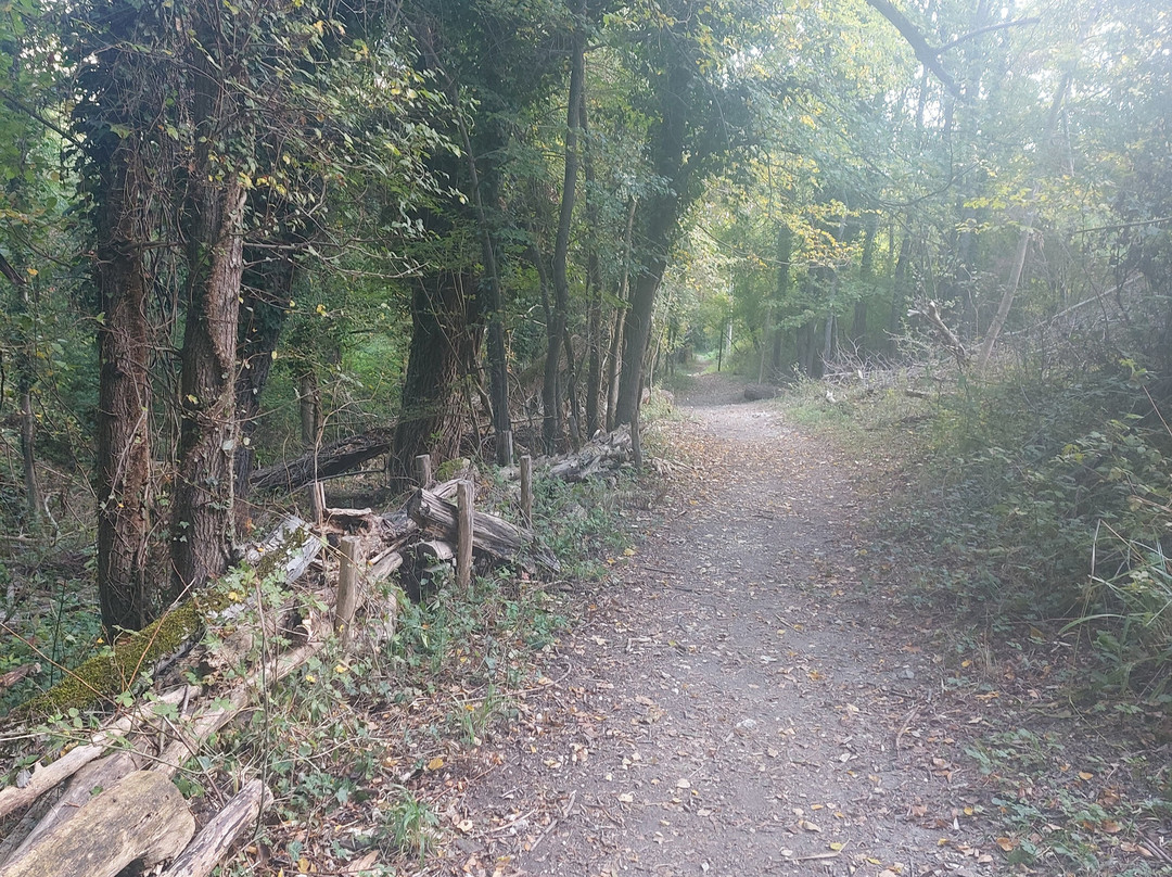Riserva Naturale Gole del Sagittario-Anversa degli Abruzzi必去景点