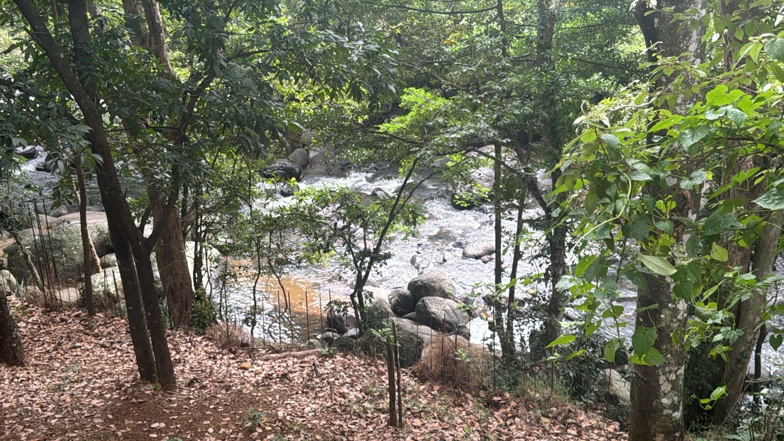 Belihuloya Terico Resort-官方