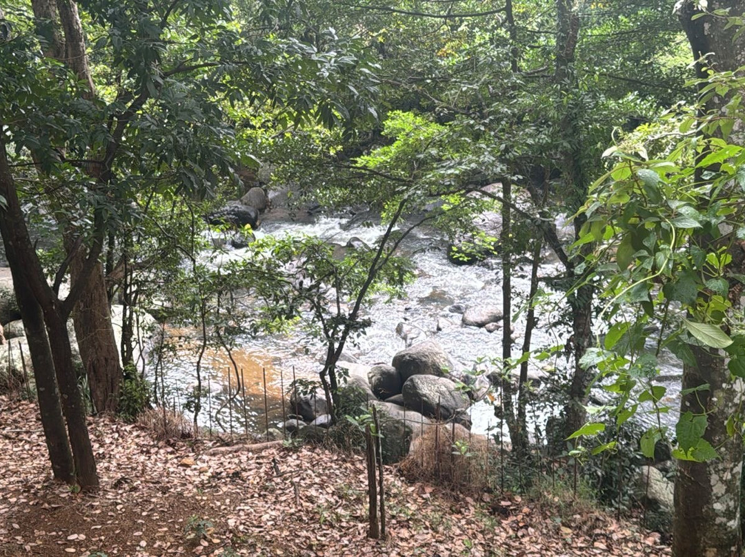 Belihuloya Terico Resort主图