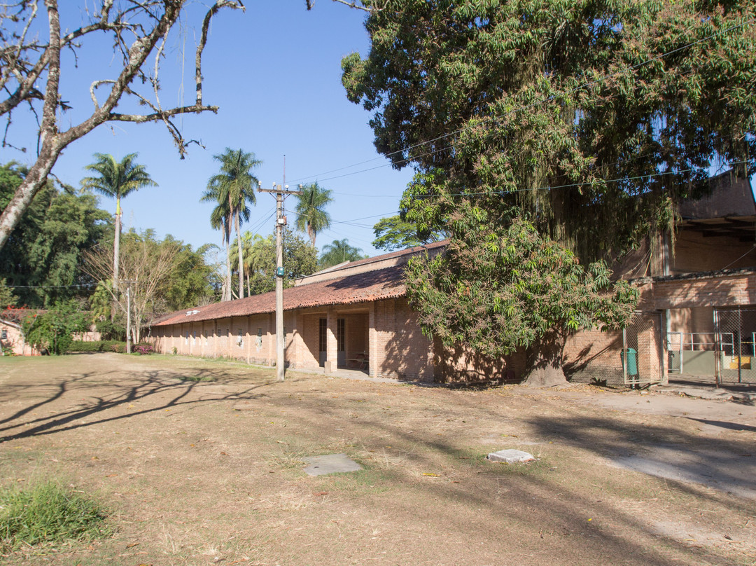 Parque Roberto Burle Marx-圣若泽杜斯坎普斯必去景点