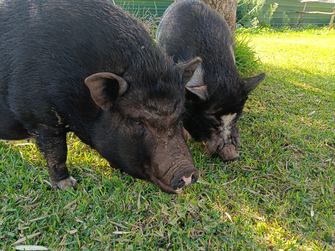 La Fattoria Dei Salari-Floridia必去景点