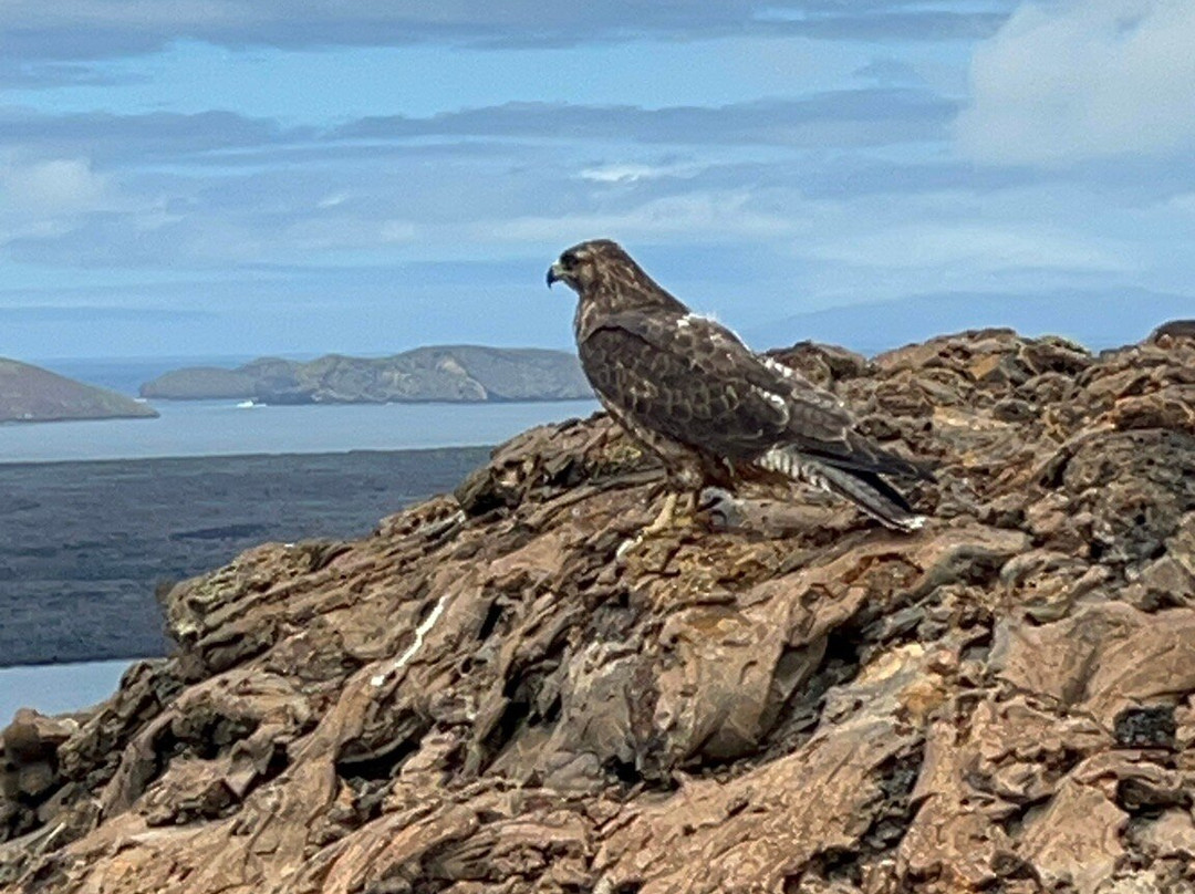 Bartolome Island, Galapagos, Ecuador-Bartolome必去景点