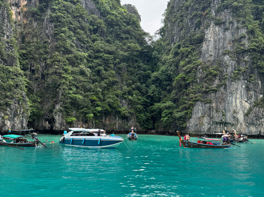 Phuket Seahorse Tours-卡伦必去景点