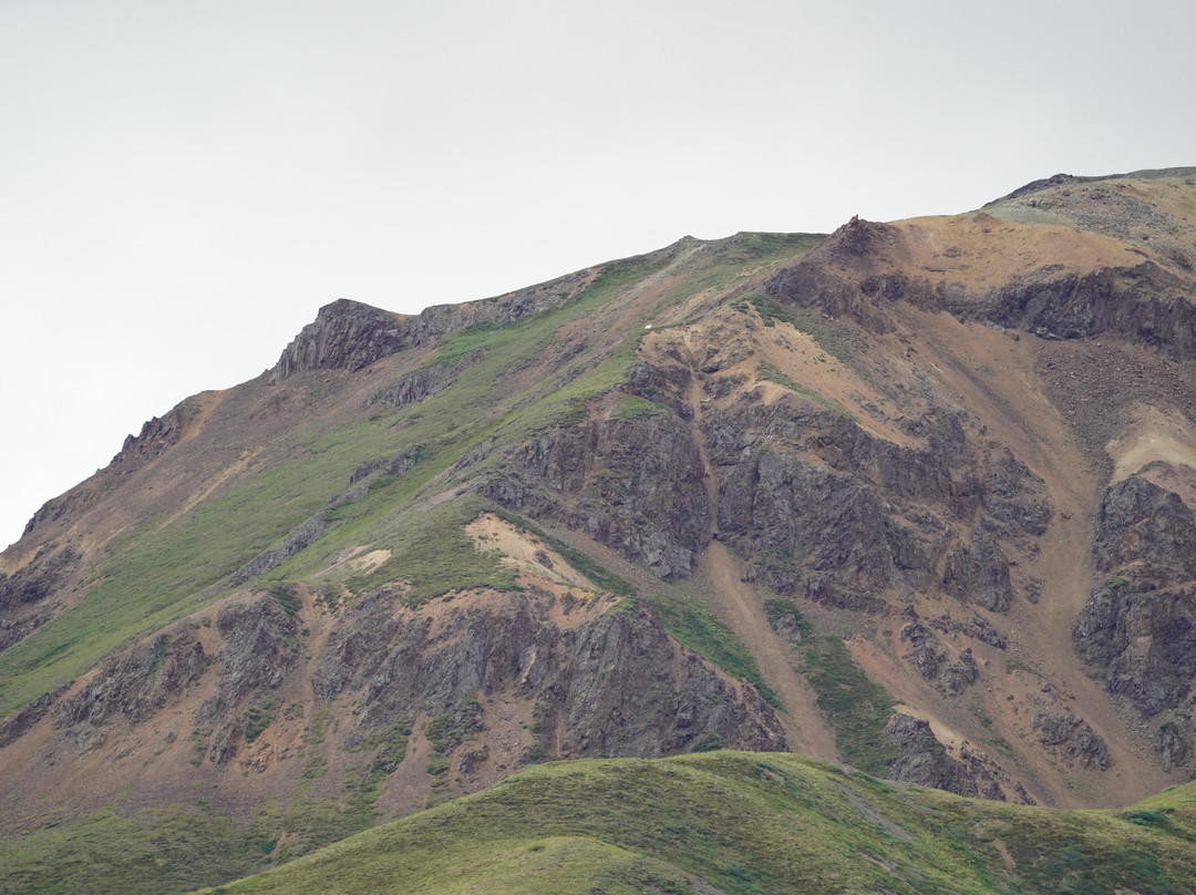 公园大道-德纳利国家公园和自然保护区必去景点