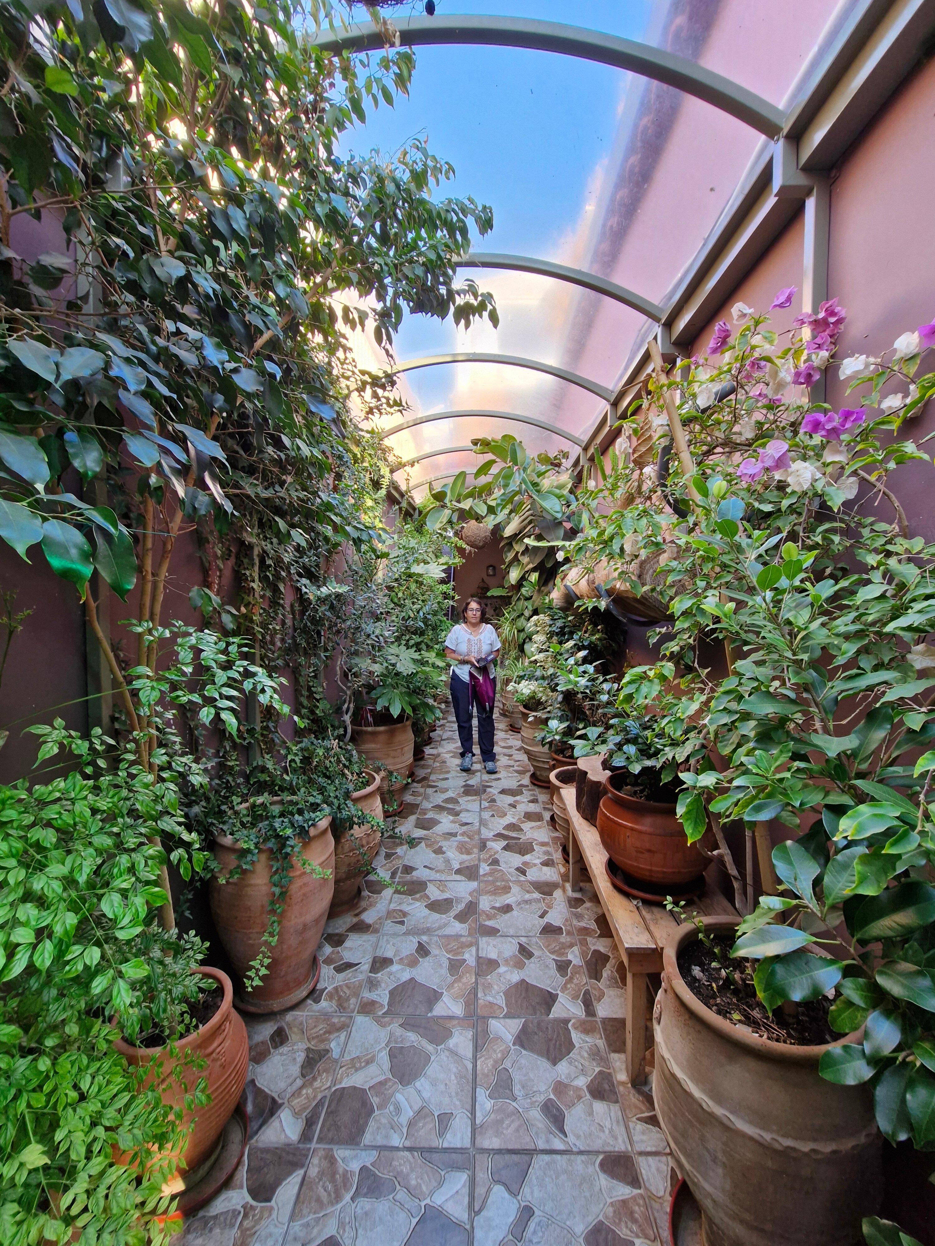 Pegasus Rooms-官方