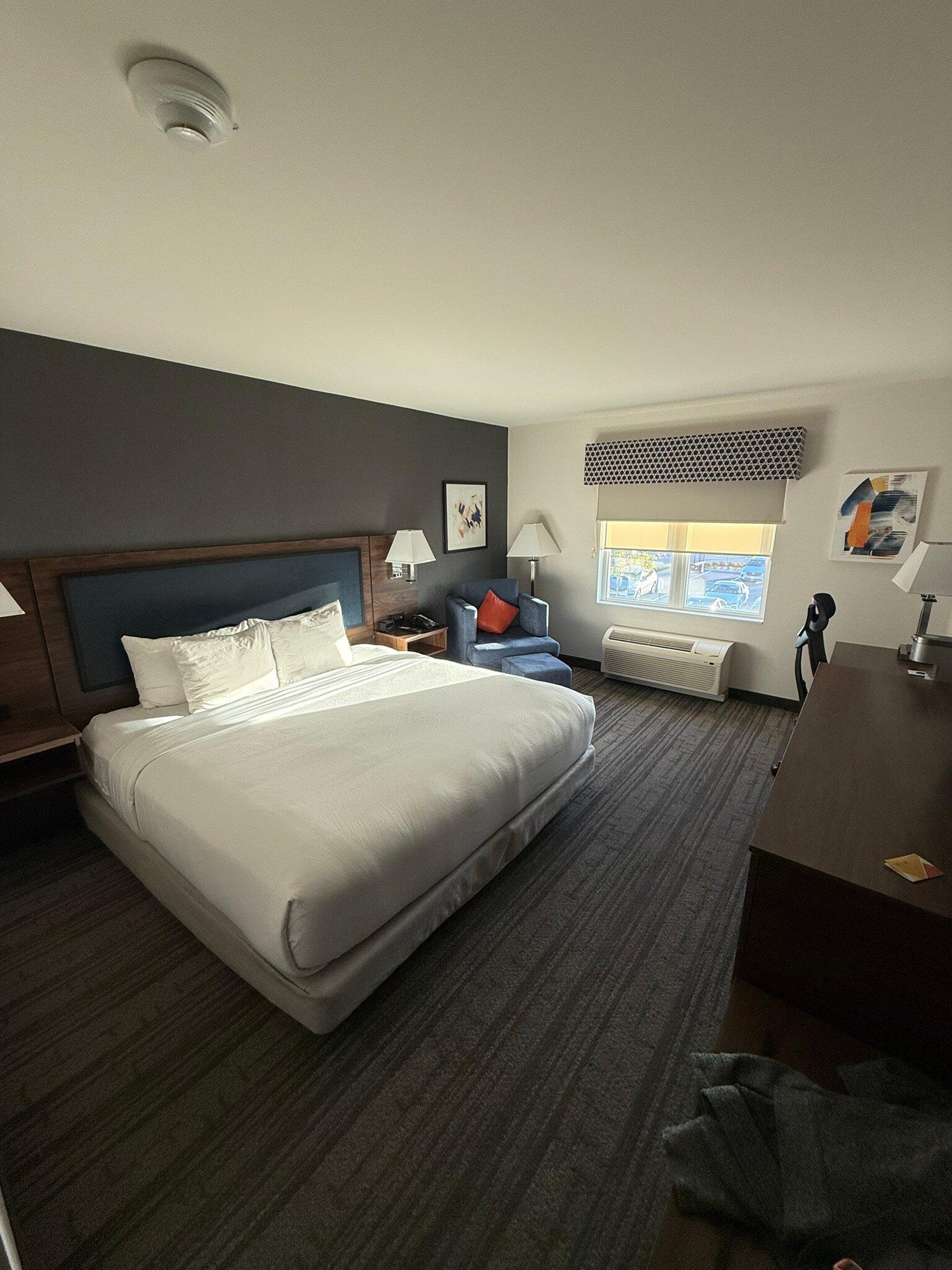 Comfort Inn & Suites-官方