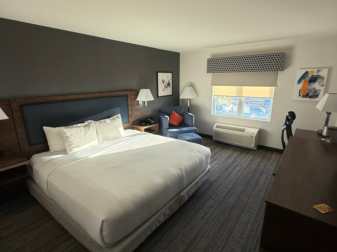 Comfort Inn & Suites主图