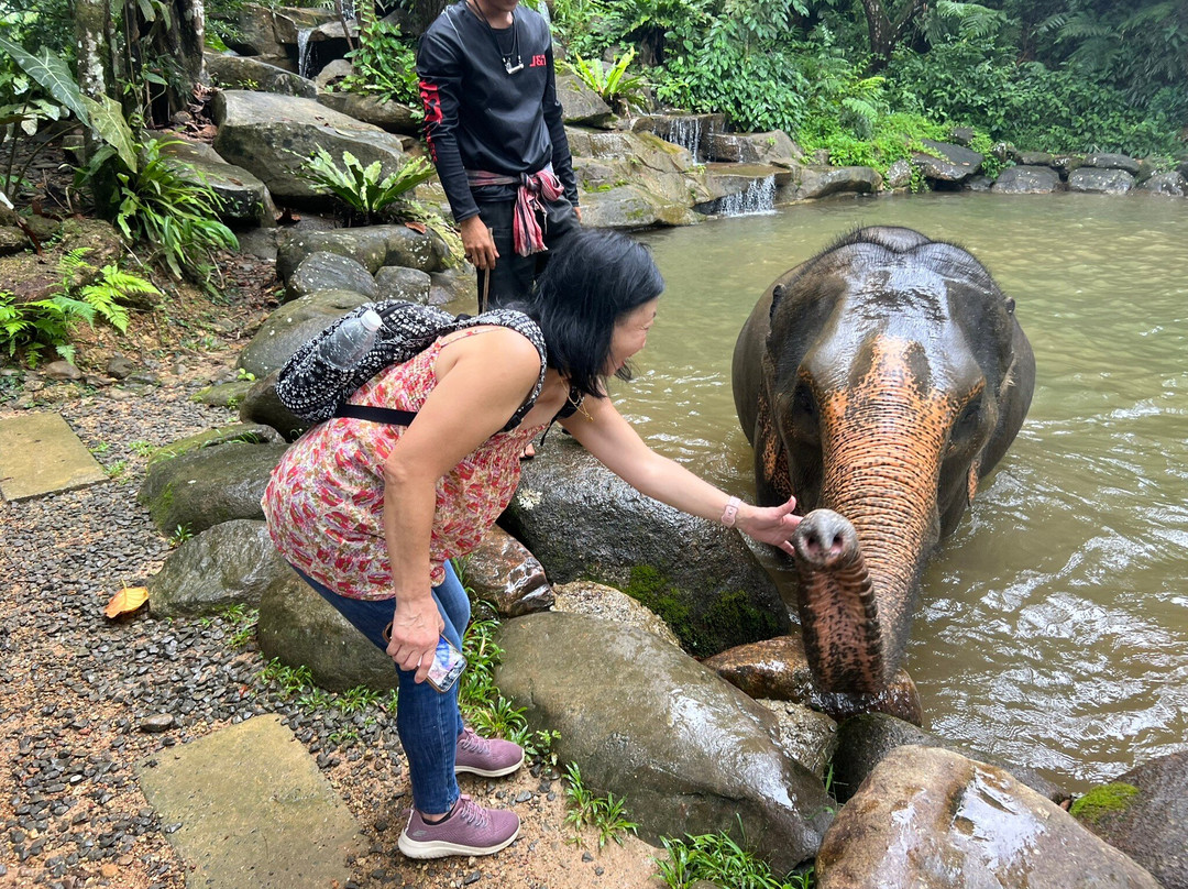 Phang Nga Elephant Park-攀牙必去景点