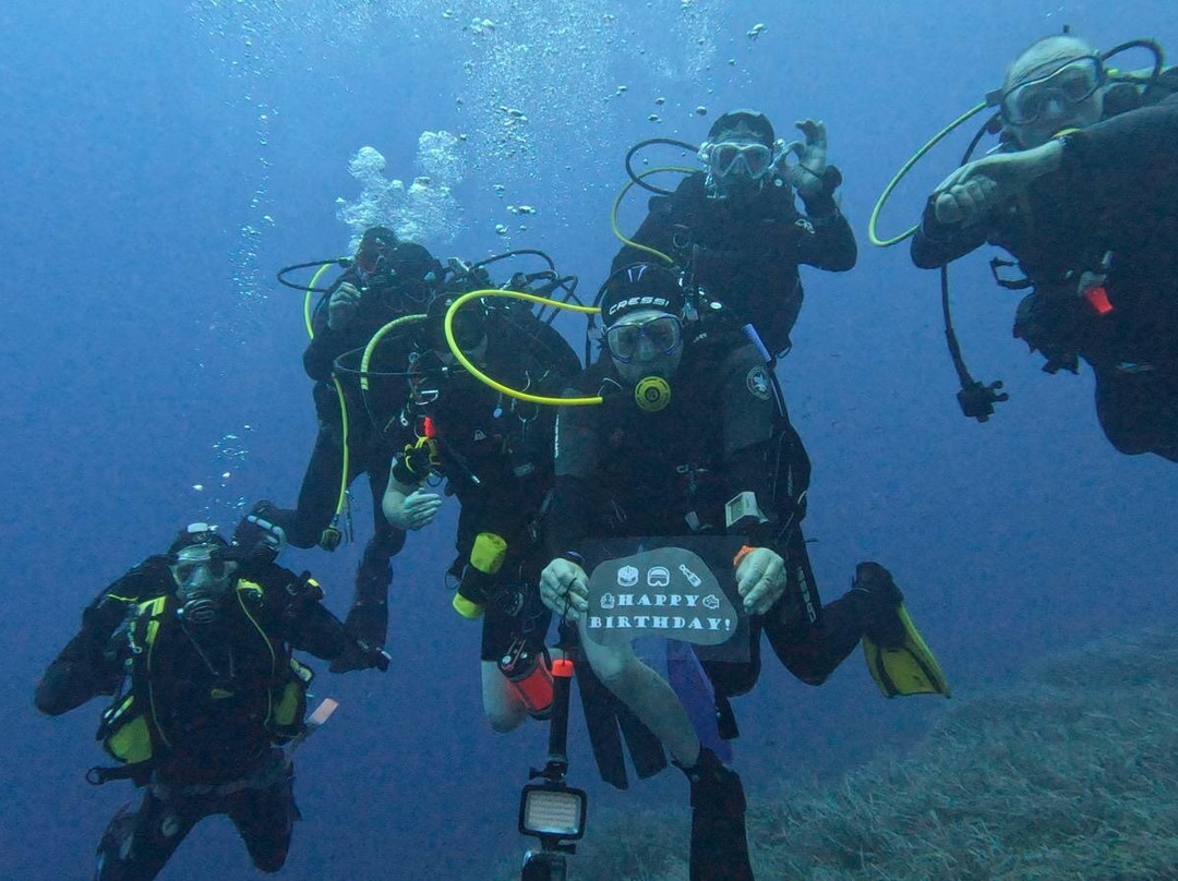 Port D' Andratx-Port d'Andratx必去景点