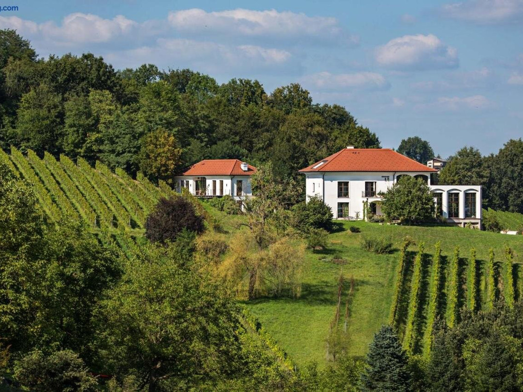 Hirschmugl Domaene Seggau Gmbh