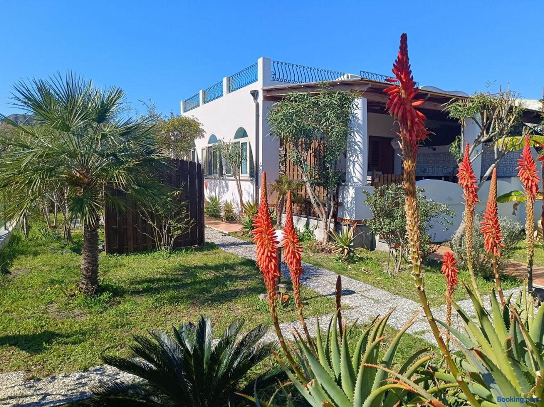 Garden & Sea