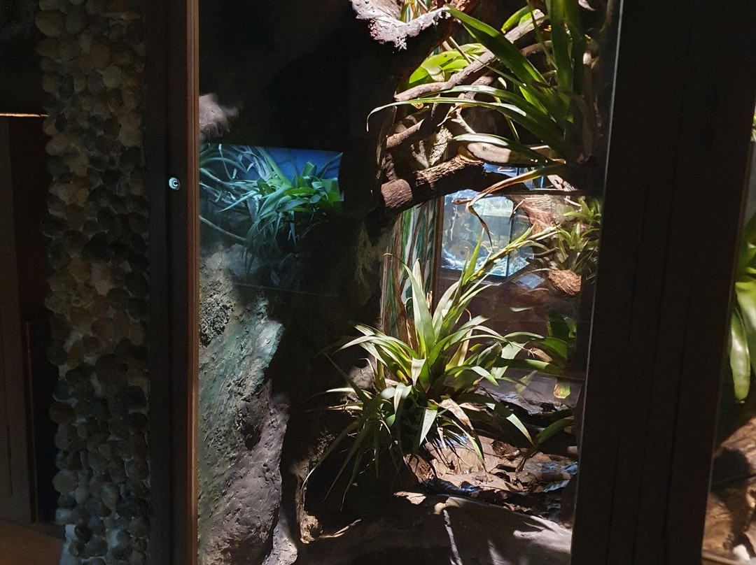Vivarium de Quito-基多必去景点
