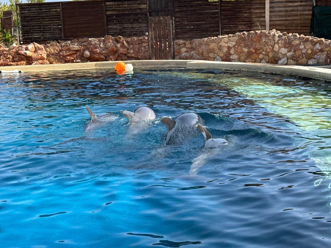 Attica Zoological Park-斯巴达必去景点