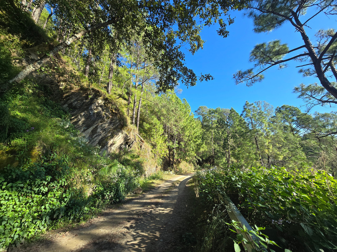 Binsar Wildlife Sanctuary-Binsar必去景点