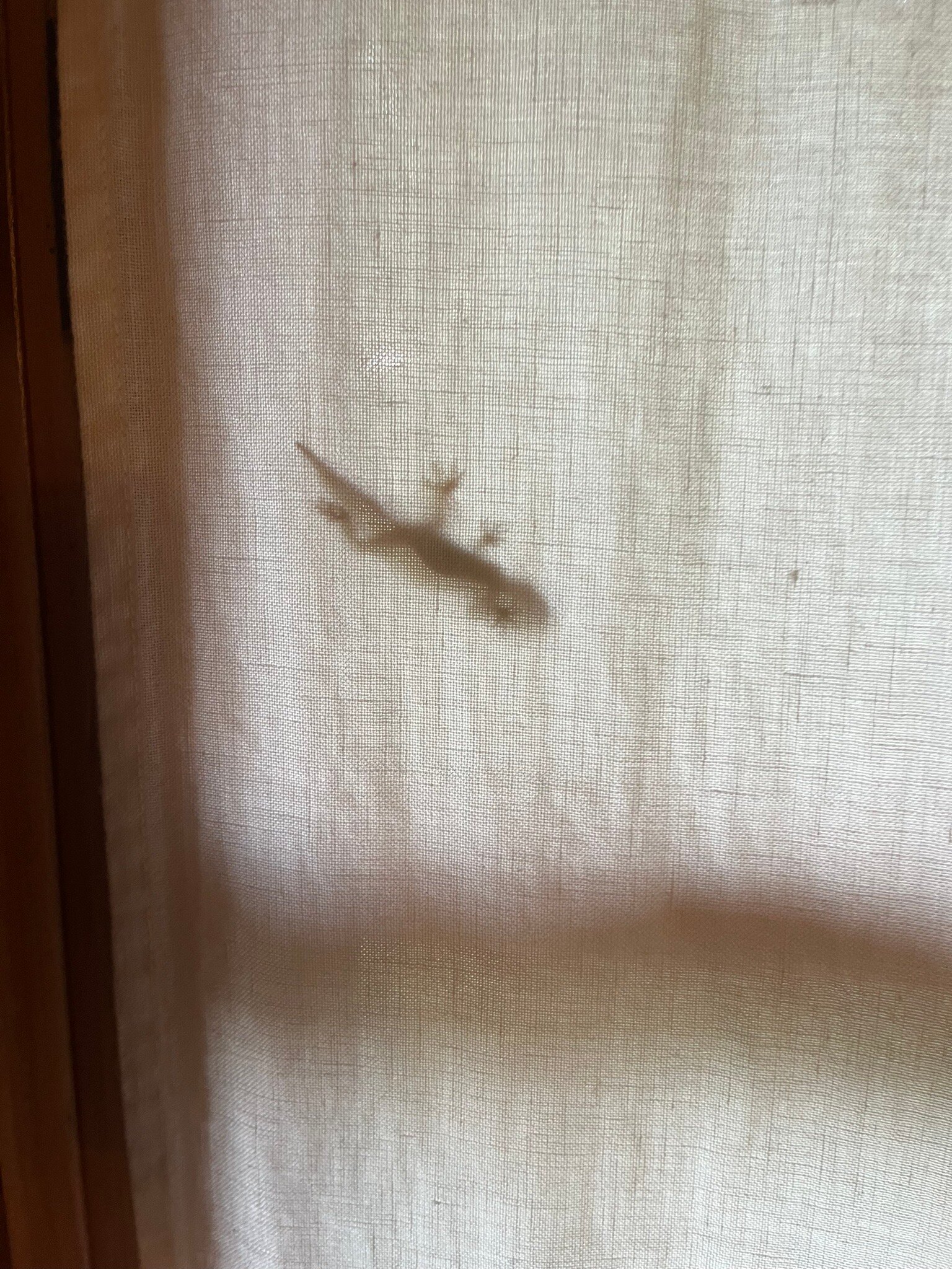 Kinsterna Hotel-官方