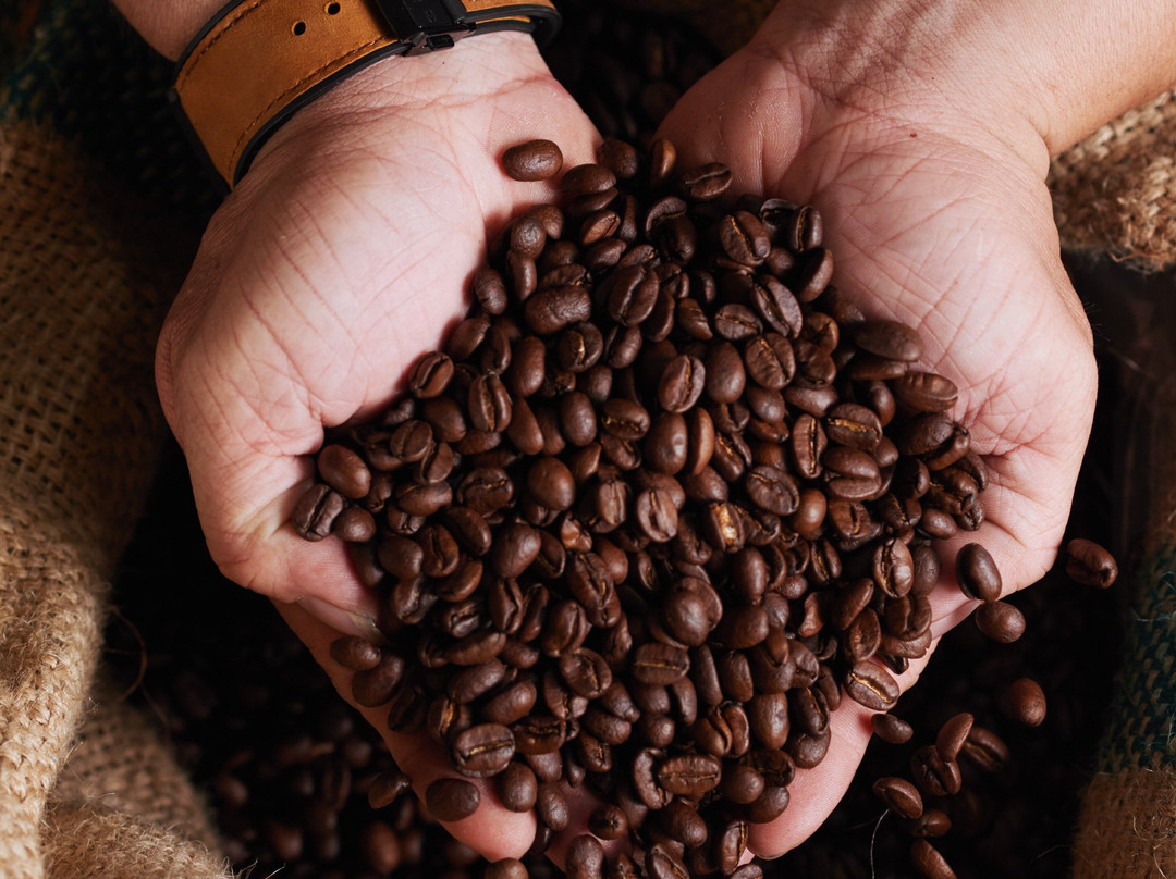 KASAKUMBRE SPECIALTY COFFEE