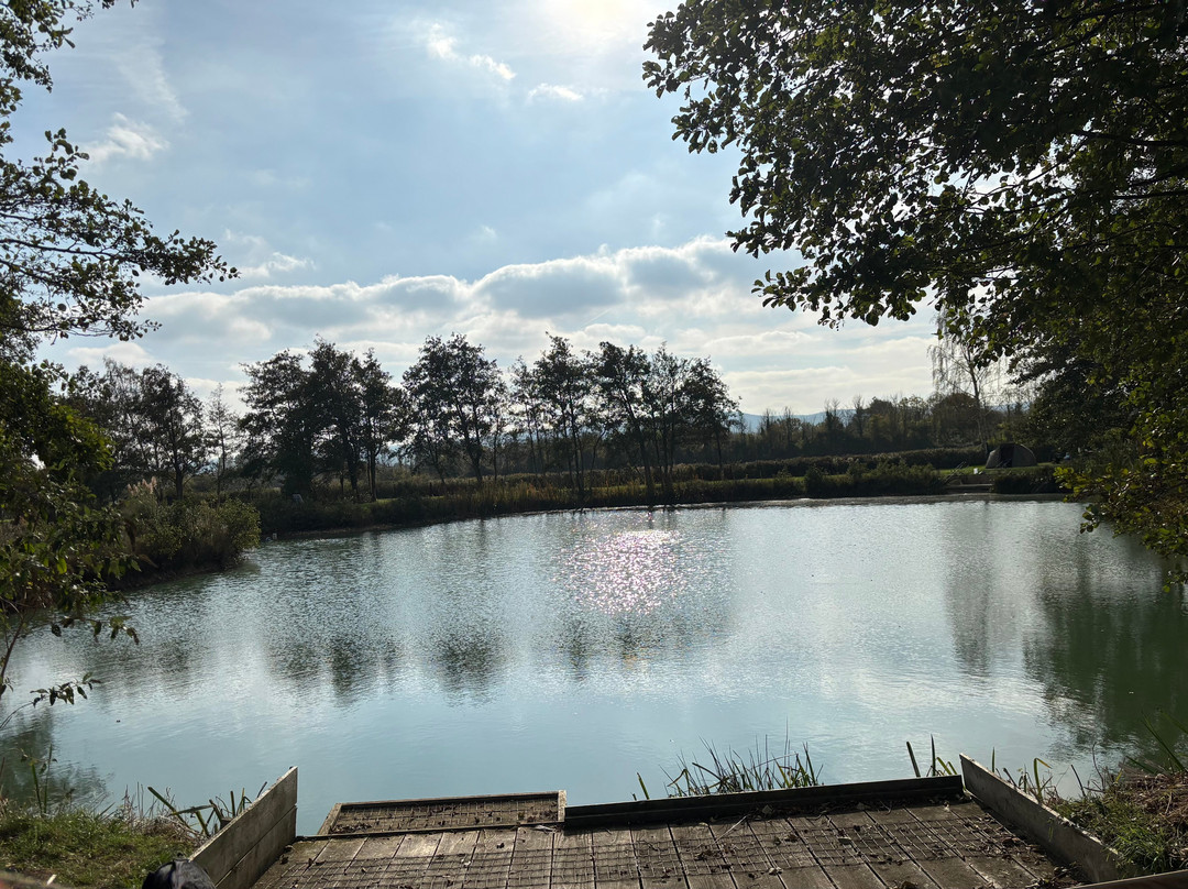 Burton Springs Fishing and Holidays-布里奇沃特必去景点