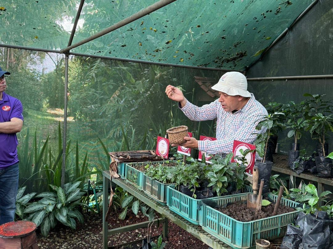 Britt Coffee Tour-爱雷迪雅必去景点