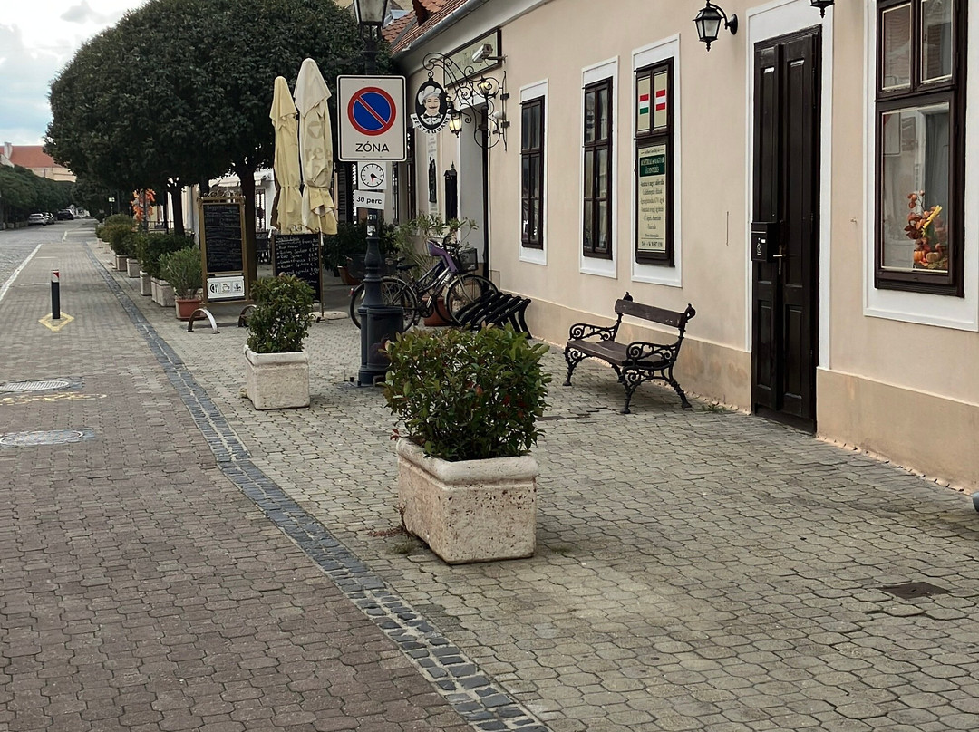 Sétálóutca-Mosonmagyarovar必去景点