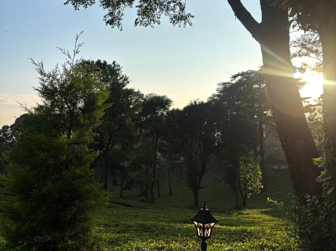 Infinitea Dakbunglow Palampur主图