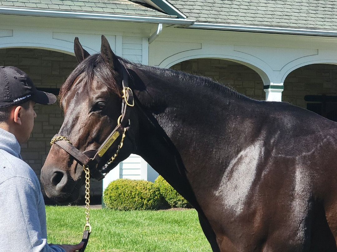 Spendthrift Farm-列克星敦必去景点