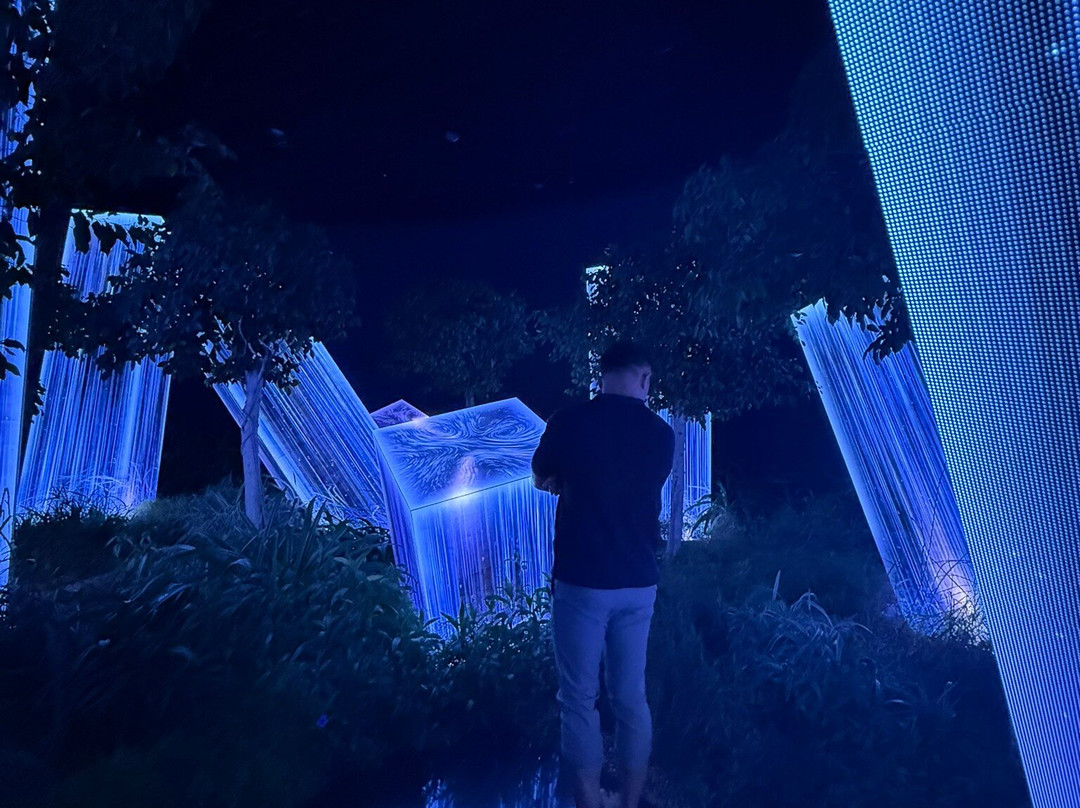 teamLab Phenomena Abu Dhabi-阿布扎比必去景点