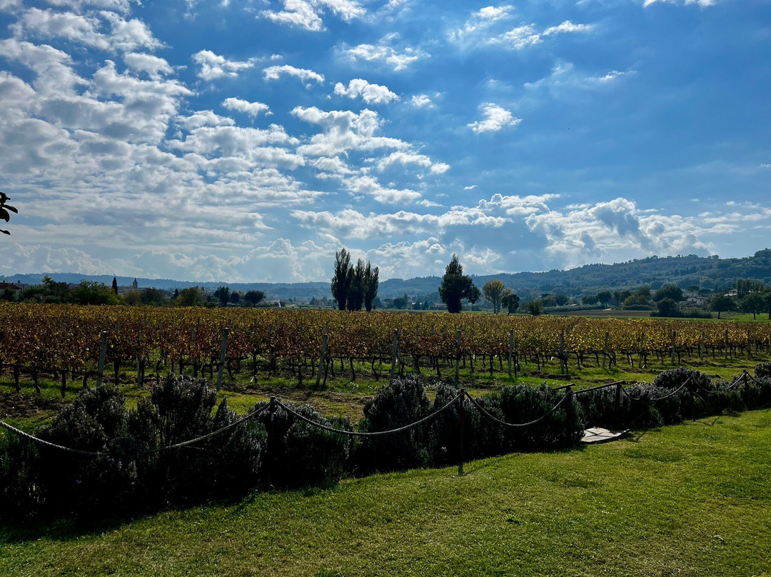 Greenways Italy Tours-Bevagna必去景点