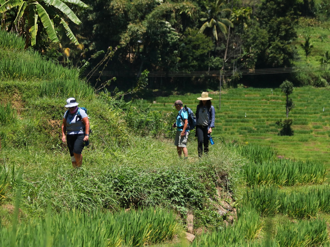 Select Sri Lanka Holidays-卡卢特勒必去景点