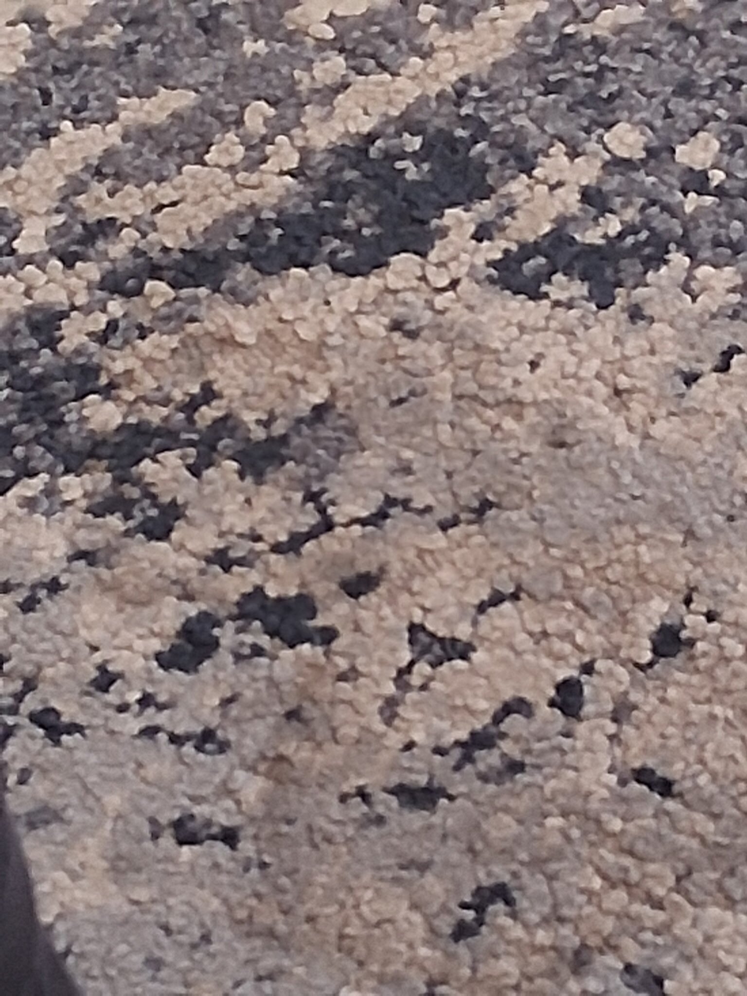 Homewood Suites by Hilton Myrtle Beach Oceanfront-官方