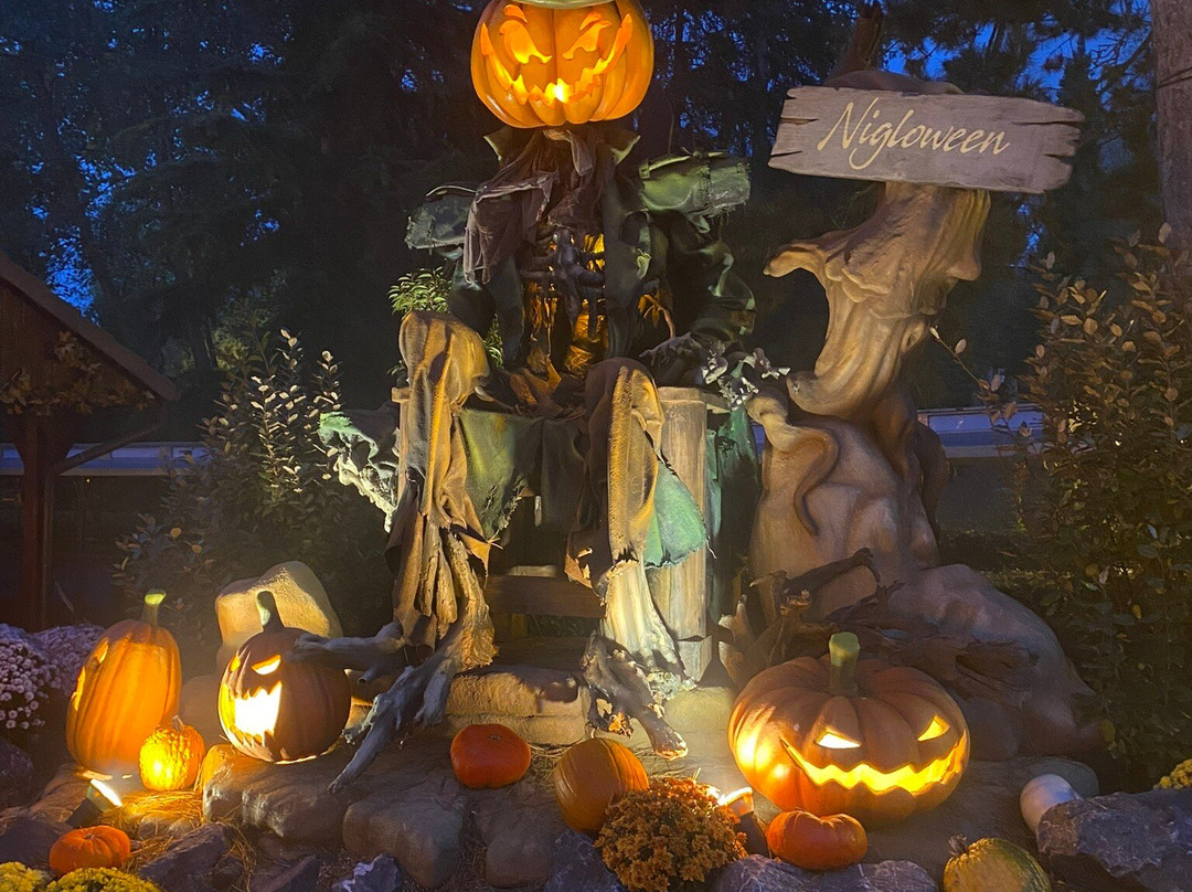 尼格罗主题游乐园-Dolancourt必去景点