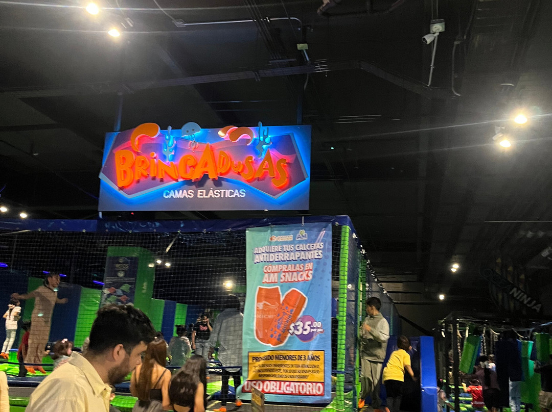 Acuario Michin Guadalajara-瓜达拉哈拉必去景点