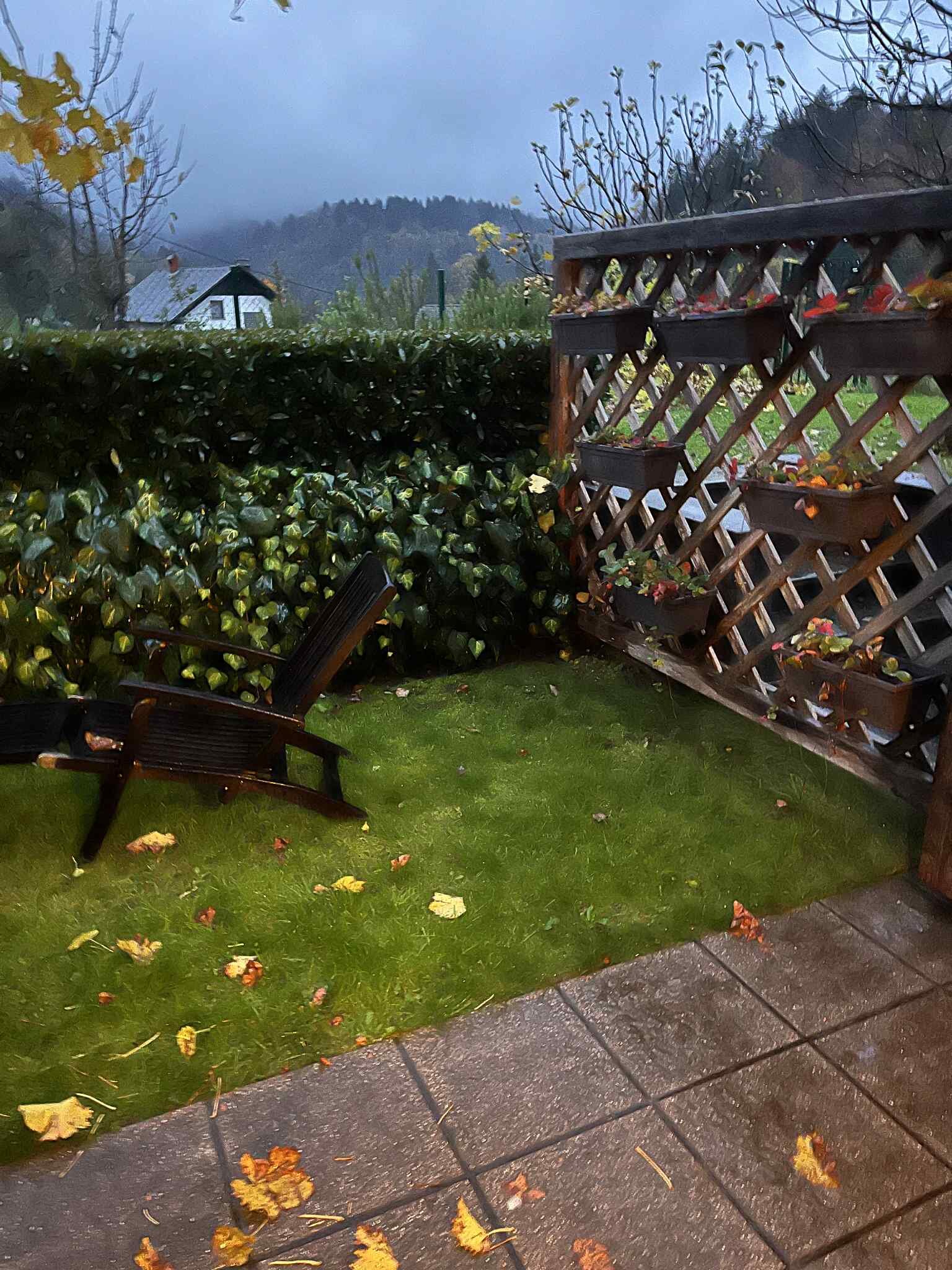 ECO Boutique Hotel AMS Beagle-官方