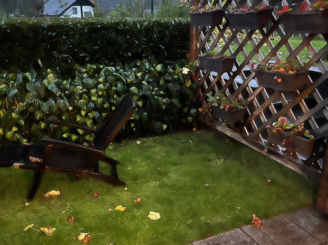 ECO Boutique Hotel AMS Beagle主图