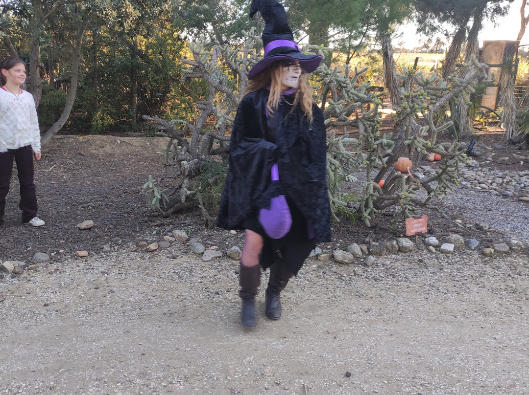 Jardin Exotique-Ponteilla必去景点