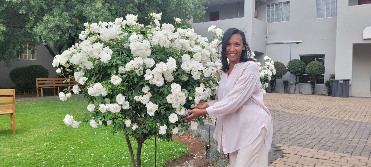 伯奇伍德酒店-官方