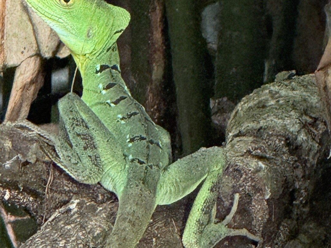 Manuel Tour Guide-卡维塔必去景点