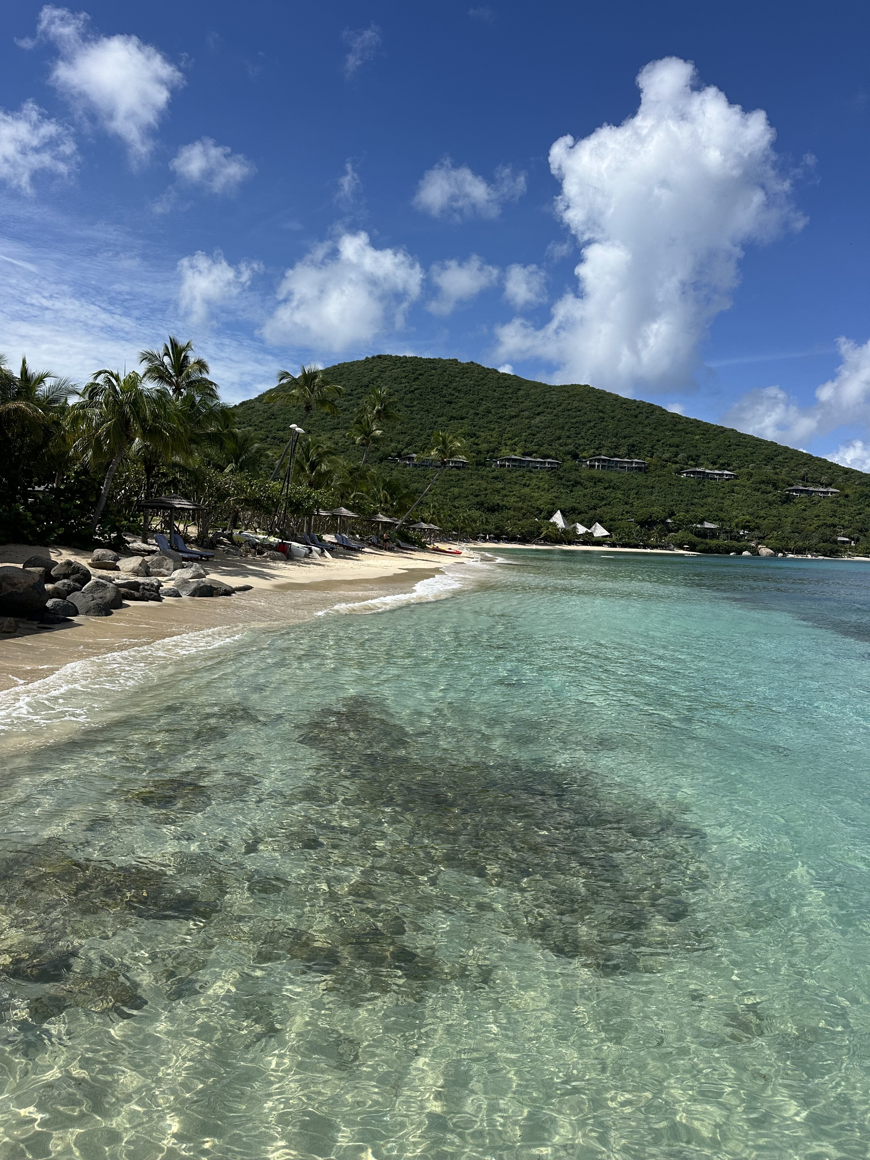 Rosewood Little Dix Bay-泳池