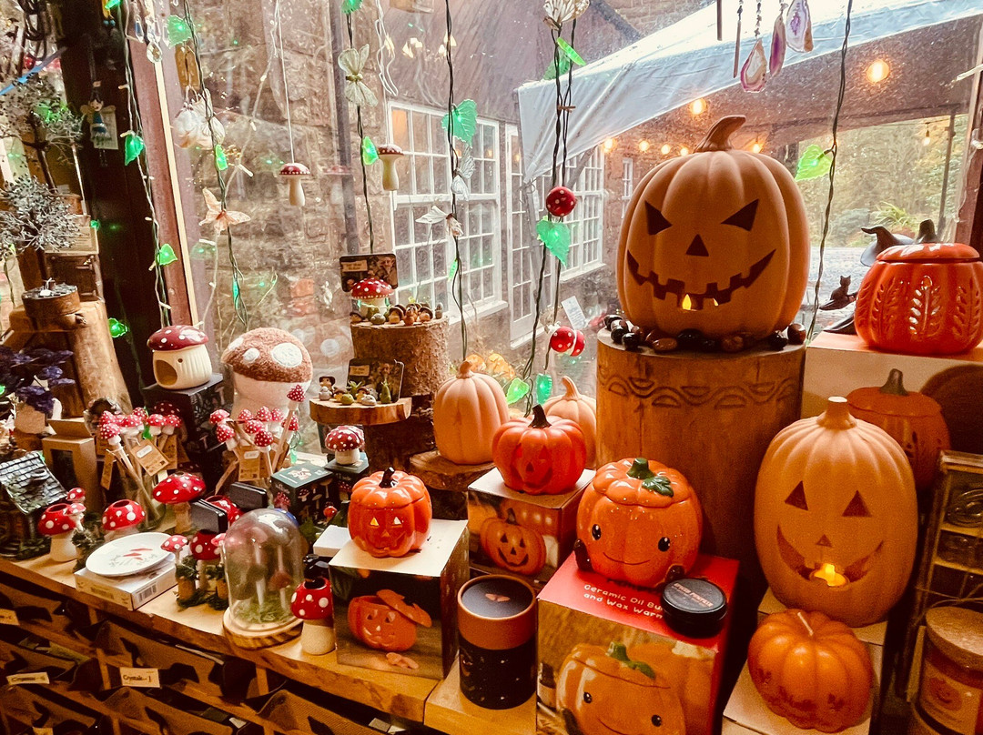 Tir na nOg Holistic Centre & Shop-Balfron必去景点