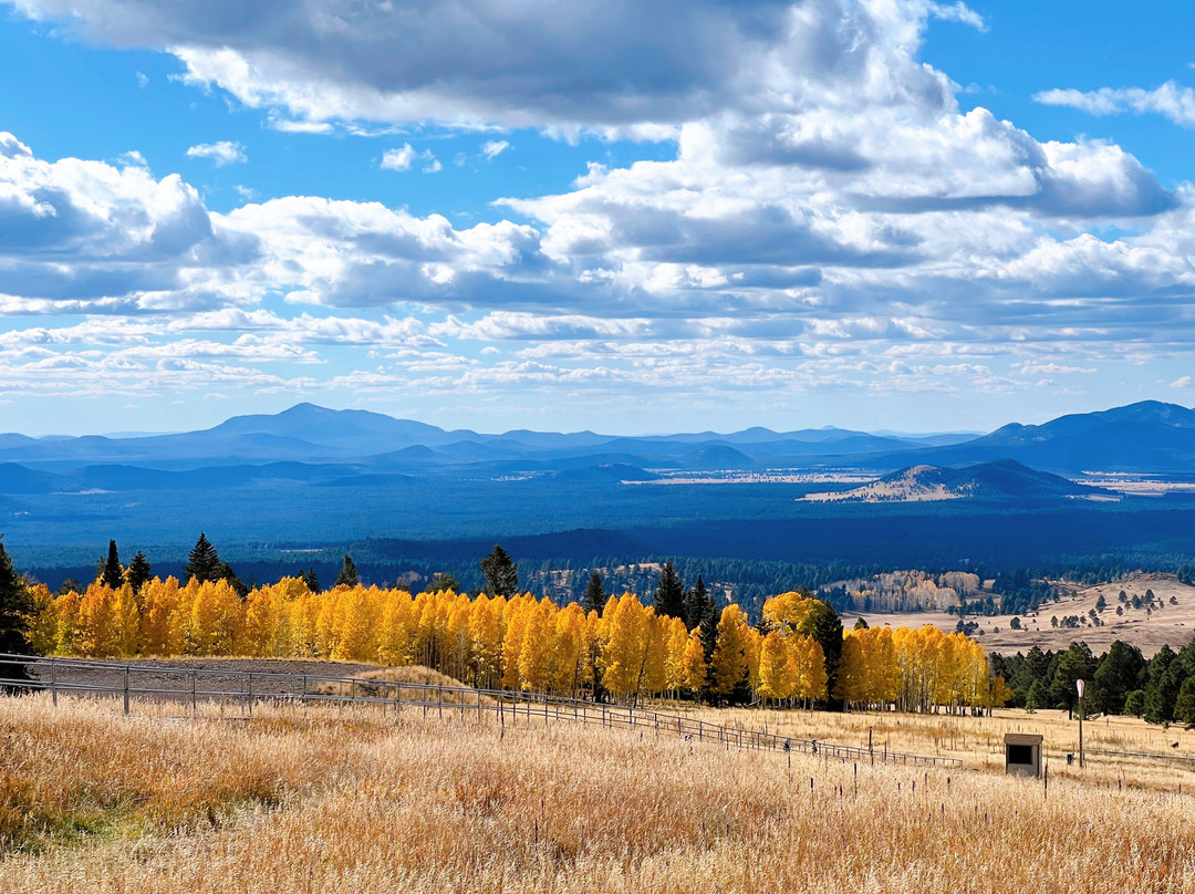 Arizona Snowbowl-弗拉格斯塔夫必去景点