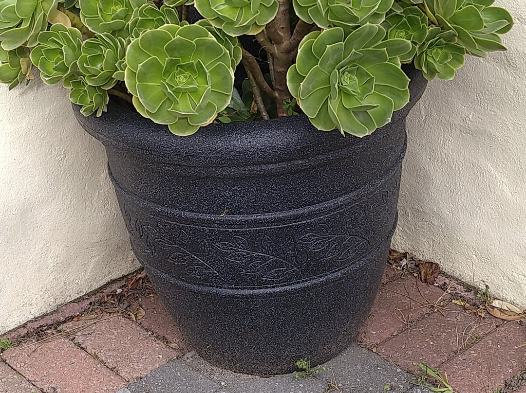 The Chocolate Factory And Craft Centre-Mullion必去景点