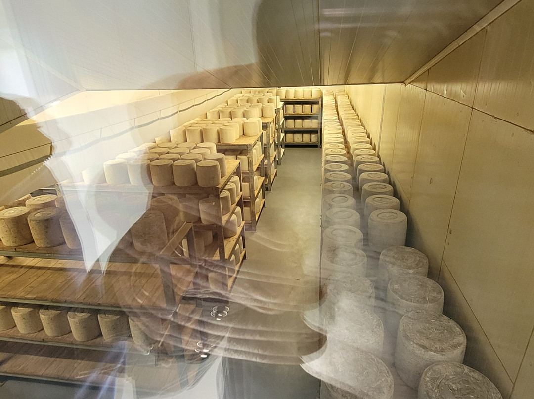 Visite Cooperative Fromagere Jeune Montagne-拉奇欧勒必去景点