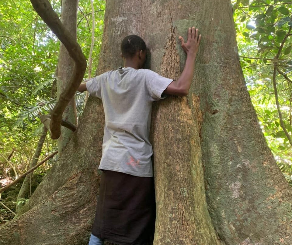 Kaya Kinondo Sacred Forest-迪亚尼必去景点